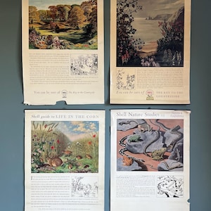 Vintage 1950s Shell guide to Life Educational Posters