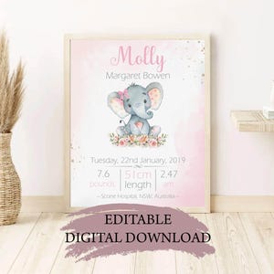 Custom Baby Girl Birth Board, Personalised Newborn Stats Sign, Baby Name Sign, Nursery Wall Art, Birth Announcement Gift