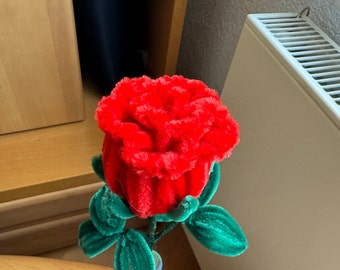 Riesenrose als Geschenk, Ideal zum Liebe