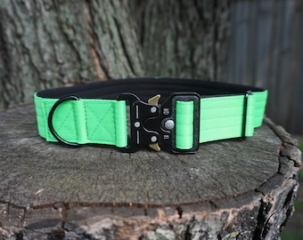 May include: A black and green dog collar with a black buckle and a metal D-ring. The collar is made of nylon webbing.