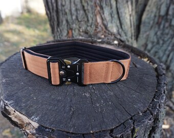 May include: A tan dog collar with a black interior and a black metal buckle. The collar is resting on a dark wooden surface, with a tree trunk in the background. The collar has a D-ring for leash attachment.
