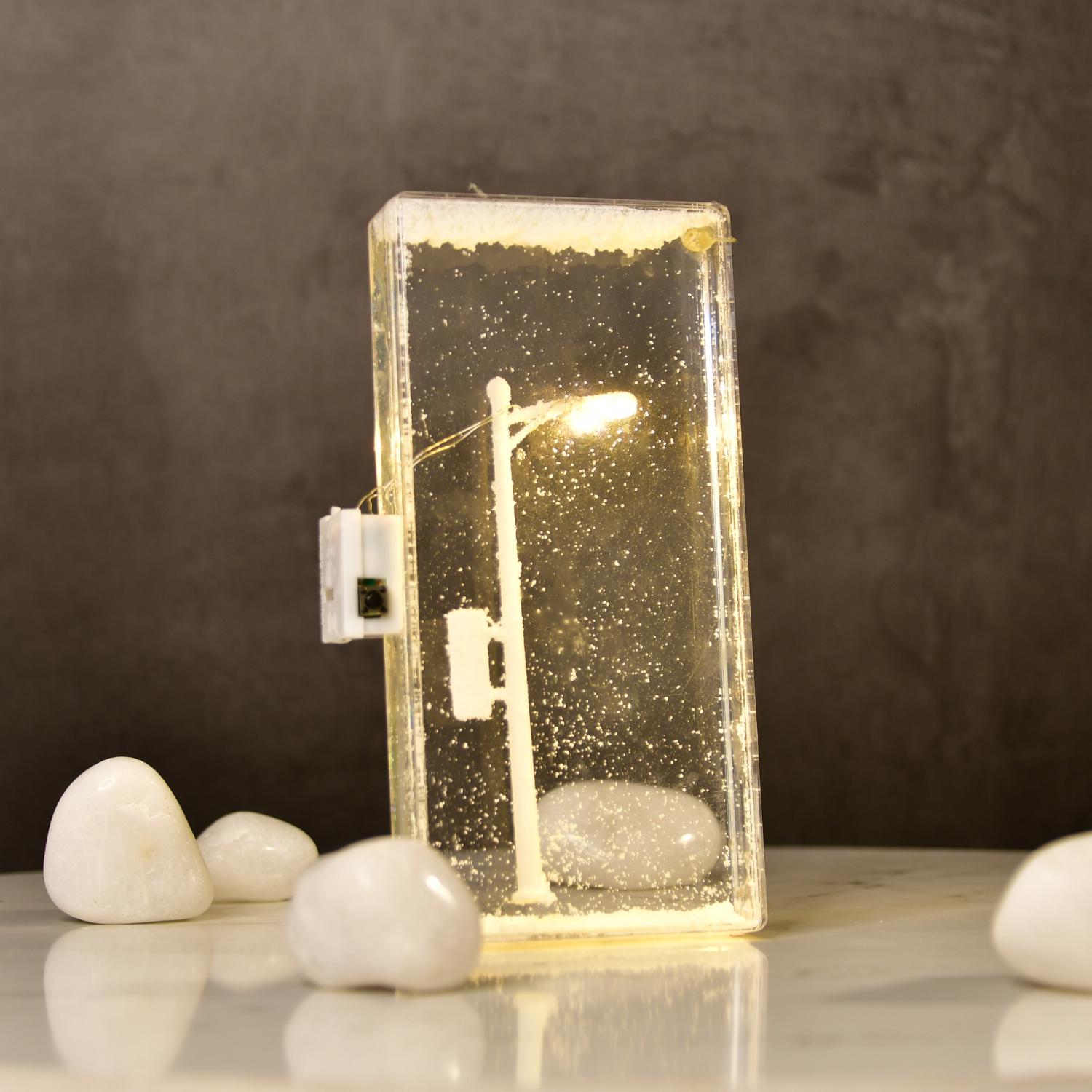 CoolSnowGlobes Globo di Neve Farfalla Monarca