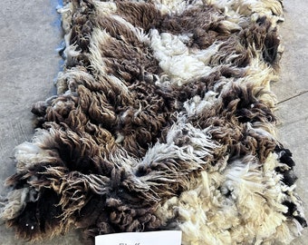 Whole Raw Skirted Jacob Sheep Fleece- Fluffy