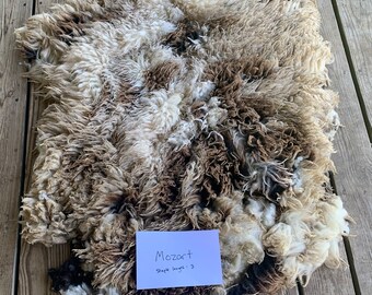 Whole Raw Skirted Jacob Sheep Lamb Wool-Mozart