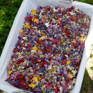 Pu&ograve; includere: Un cesto bianco pieno di petali di fiori colorati, tra cui petali rossi, rosa, viola, blu e gialli. Il cesto &egrave; seduto su un letto di trifoglio verde.