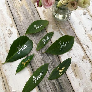 Op de afbeelding: Een rustiek houten oppervlak met zes groene bladeren, elk met een naam geschreven in witte kalligrafie. De namen zijn Mia, James, Sarah, Noah, Julia en Anna.