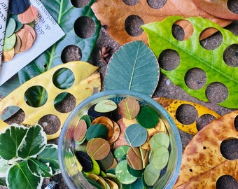 May include: A glass jar filled with small, round, green, brown, and yellow leaves. The leaves have been cut into circles using a hole punch. The jar is sitting on a table with several leaves with holes punched in them.