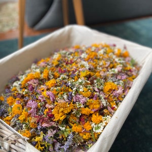 Coriandoli per matrimonio, coriandoli biodegradabili, fiori secchi, petali per matrimonio, lancio di coriandoli, eco-friendly, coriandoli, PER 10 OSPITI