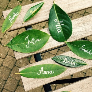 Op de afbeelding: Groene bladeren met witte kalligrafie namen erop geschreven, waaronder Noach, James, Julia, Mia, Sarah, Becky, Anna en Jane.