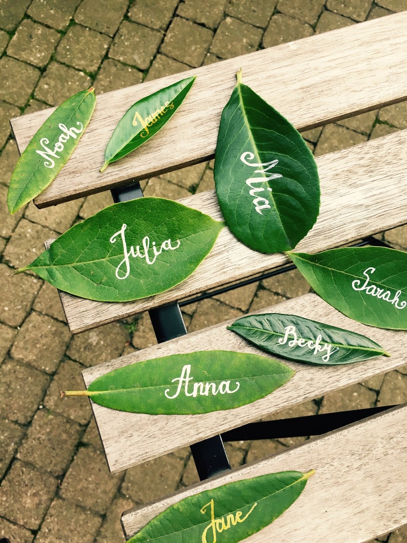 Op de afbeelding: Groene bladeren met witte kalligrafie namen erop geschreven, waaronder Noach, James, Julia, Mia, Sarah, Becky, Anna en Jane.