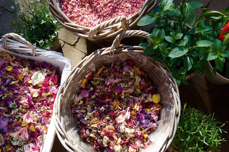 Pu&ograve; includere: Tre cesti di vimini pieni di petali di fiori colorati. I cesti sono disposti su una superficie di pietra. I petali sono un mix di rosa, viola, giallo e bianco.