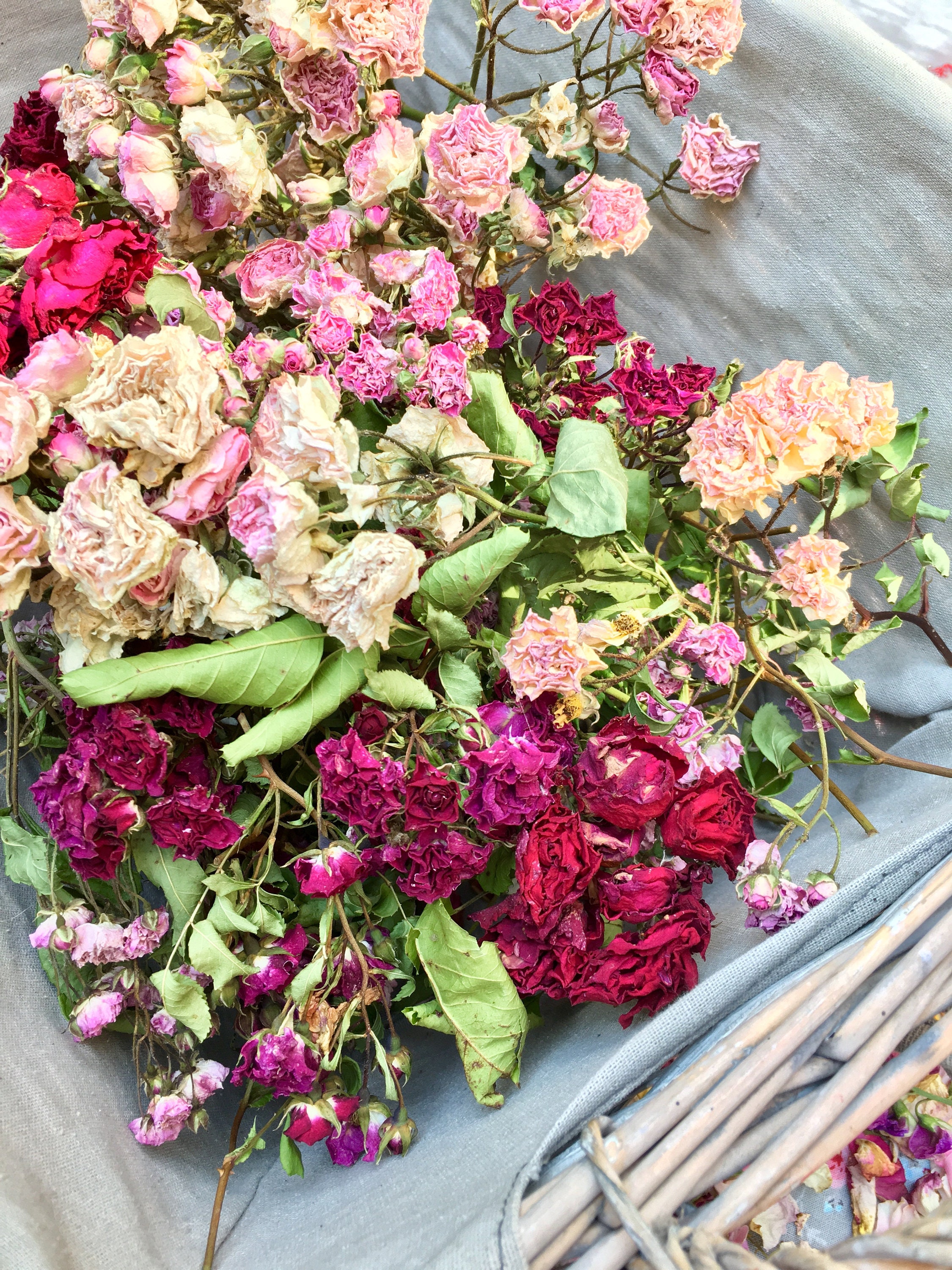 Biodegradable Confetti Wedding Confetti Petal Confetti Etsy