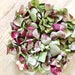 12 Sachets Confettis Biodégradables Pétales De Fleurs Séchées - Pour Mariage Et Décoration Événement