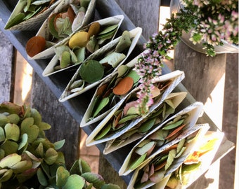 May include: A tray of small paper cones filled with dried leaves and confetti. The cones are arranged in a row on a wooden surface. The leaves are a mix of green, brown, and yellow. The confetti is a mix of gold and brown. The tray is made of wood and has a gray finish.