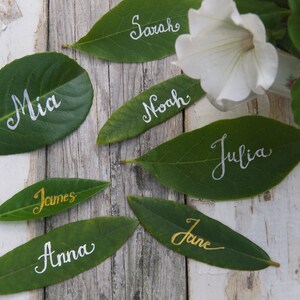 Op de afbeelding: Groene bladeren met namen erop geschreven in witte en gouden inkt. De namen zijn Mia, Sarah, Noah, Julia, James, Anna en Jane.