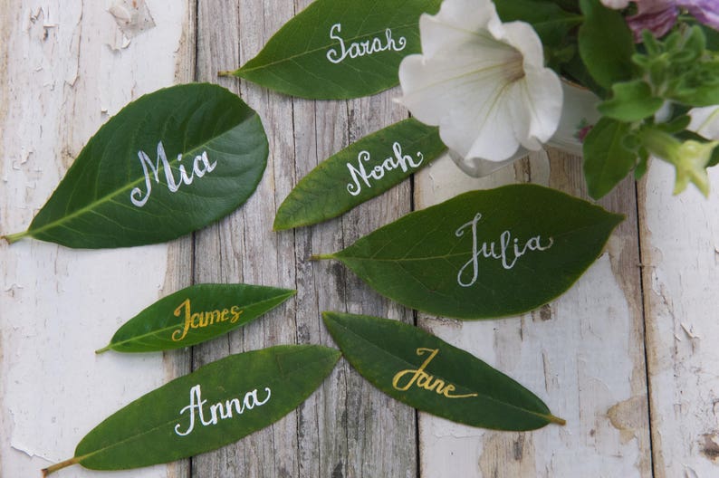 Op de afbeelding: Groene bladeren met namen erop geschreven in witte en gouden inkt. De namen zijn Mia, Sarah, Noah, Julia, James, Anna en Jane.