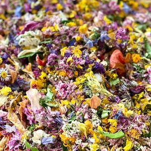 Wedding confetti, biodegradable confetti, dried flowers, wedding petals, flower petals, wedding toss, wedding throw, FOR 10 GUESTS