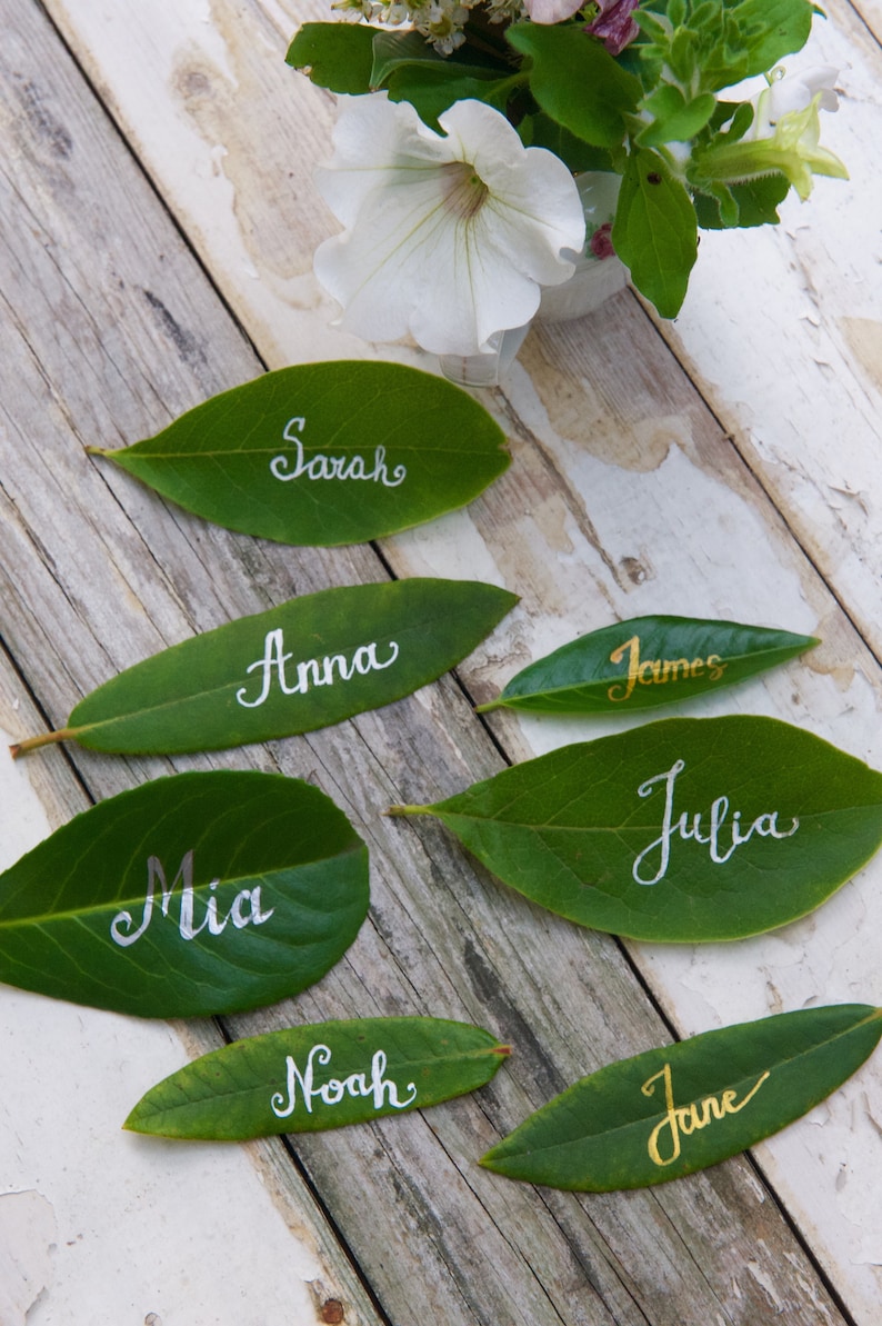 Op de afbeelding: Groene bladeren met namen erop geschreven in witte en gouden kalligrafie. De namen zijn Sarah, Anna, Mia, Noah, Jane, James en Julia.