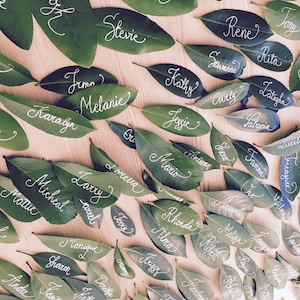 Place cards, Escort cards, Wedding place cards, Name cards wedding, Name cards, Placecards, Calligraphy place cards, Handwritten place cards