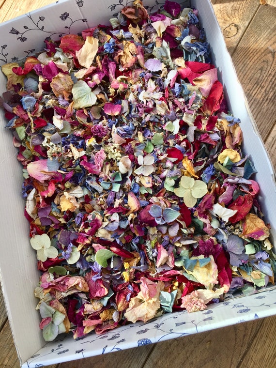 Biodegradable Real Dried Petal Confetti Packets - Pink, Lilac, Blue Ivory Mix