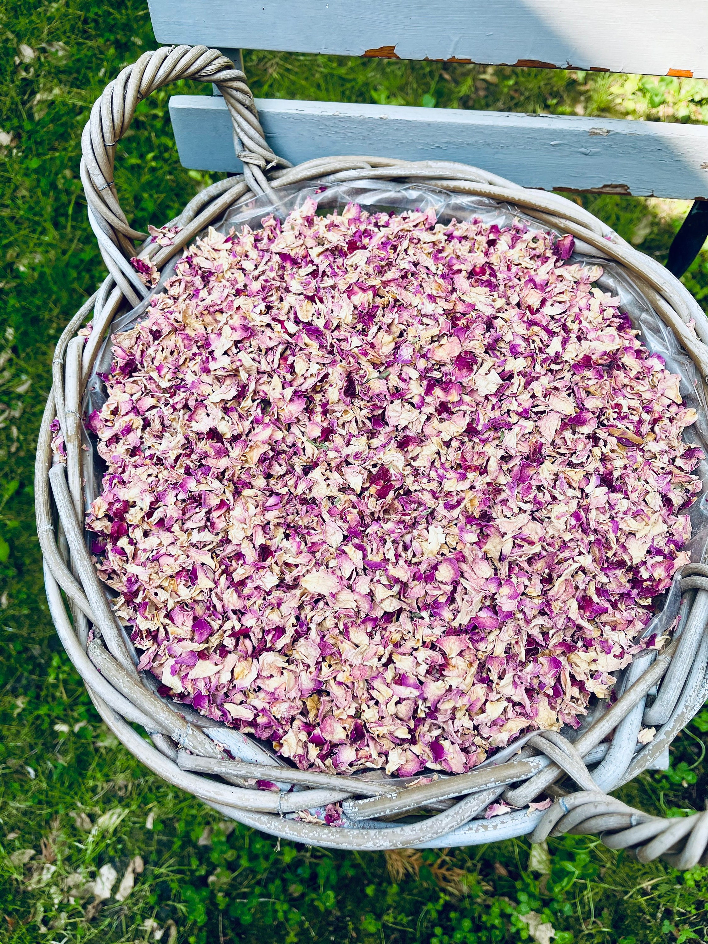 Biodegradable Confetti Wedding Confetti Petal Confetti Etsy Australia