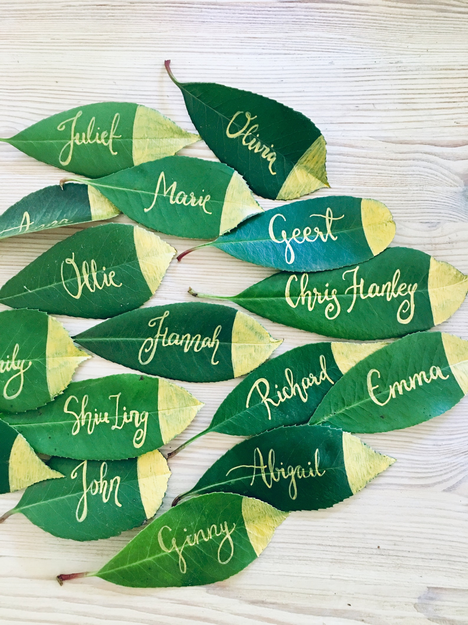 Place Cards Wedding Party Gift Place Cards Leaf Place Cards Etsy UK