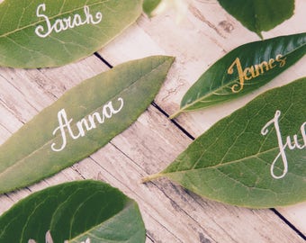 Op de afbeelding: Vijf groene bladeren met namen in witte en gouden kalligrafie. De namen zijn Sarah, Anna, Mia, Noah en James.