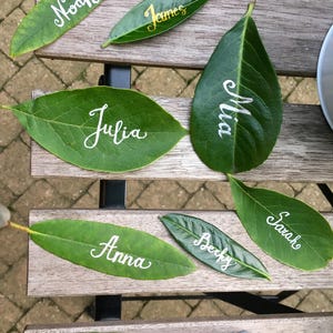 Op de afbeelding: Een set groene bladeren met namen erop geschreven in witte inkt. De namen zijn Noah, James, Mia, Julia, Anna, Becky, Sarah en Jane.