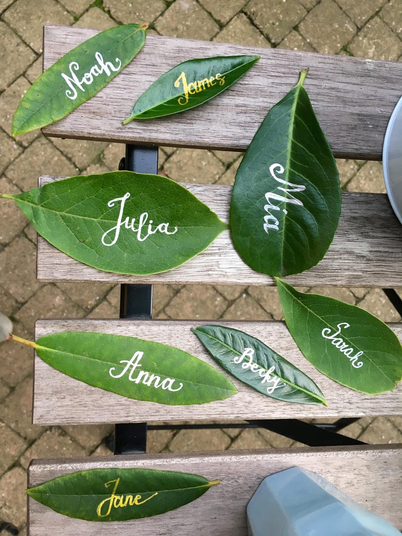 Op de afbeelding: Een set groene bladeren met namen erop geschreven in witte inkt. De namen zijn Noah, James, Mia, Julia, Anna, Becky, Sarah en Jane.
