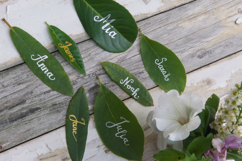 Op de afbeelding: Groene bladeren met namen erop geschreven in witte en gouden letters. De namen zijn Mia, James, Anna, Sarah, Noah, June en Julia.
