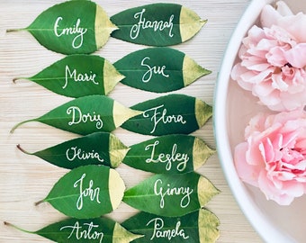 Op de afbeelding: Groene bladeren met gouden accenten, elk met een naam geschreven in witte kalligrafie. De namen zijn: Emily, Hannah, Marie, Sue, Doris, Flora, Olivia, Lesley, John, Ginny, Anton, Pamela.