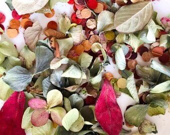 May include: A collection of dried hydrangea petals and small circular paper confetti in shades of deep red, muted green, pale yellow, and soft purple. The mixture includes various organic leaf shapes and flat, round paper pieces scattered together.