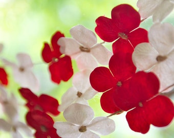 Può includere: Un gruppo di delicati fiori bianchi e rossi con cinque petali ciascuno, disposti a forma di ghirlanda. I fiori sono a fuoco, mentre lo sfondo è sfocato e verde.