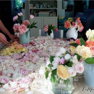 Wedding Confetti, Biodegradable confetti, Petal Confetti, Flower confetti, Eco friendly confetti, Petal toss bags, Confetti packets/10 packs