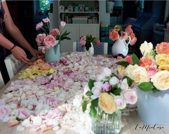 Wedding Confetti, Biodegradable confetti, Petal Confetti, Flower confetti, Eco friendly confetti, Petal toss bags, Confetti packets/10 packs