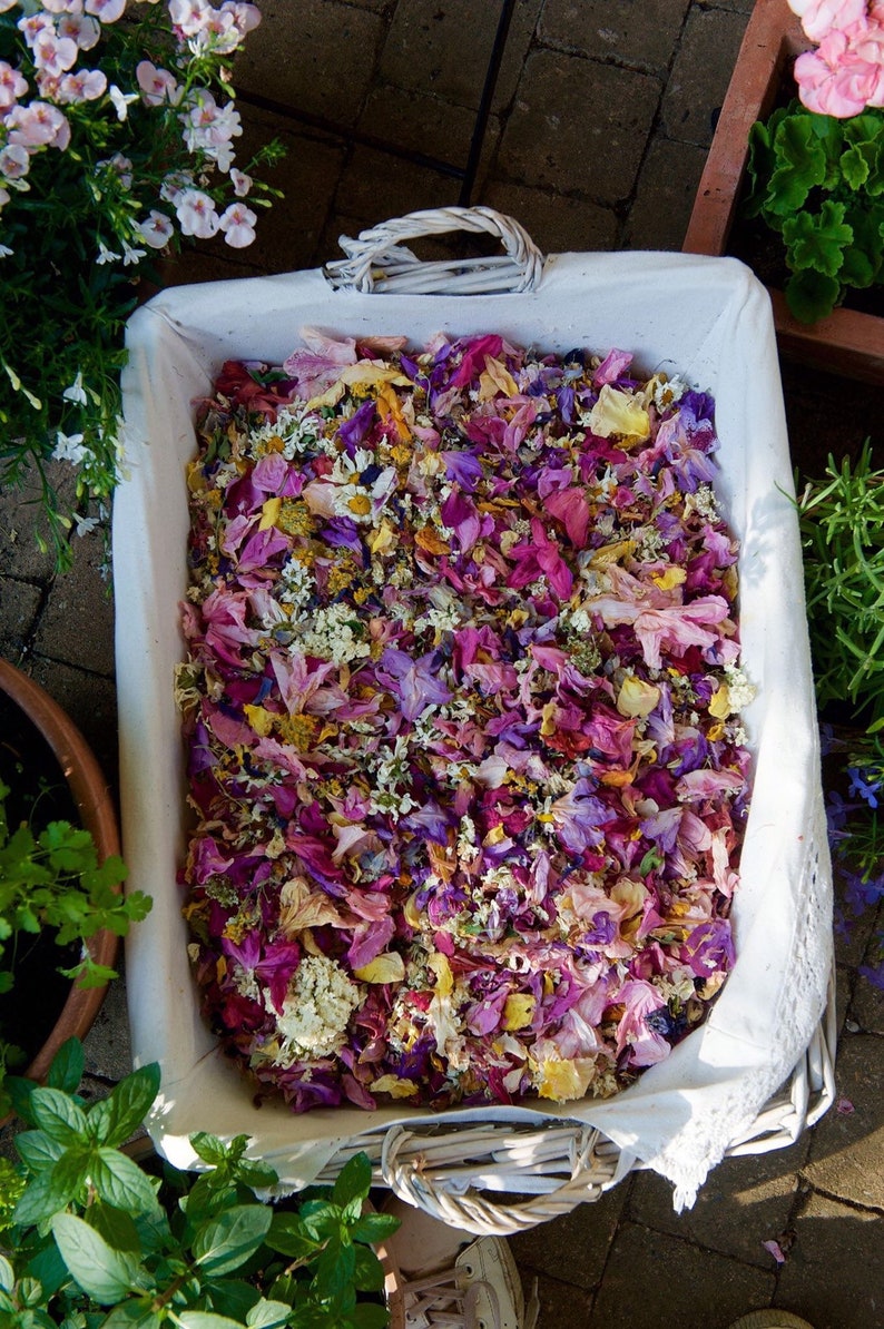 Pu&ograve; includere: Un cesto di vimini bianco pieno di un mix di petali di fiori secchi in tonalit&agrave; di rosa, viola e giallo. I petali sono disposti in modo casuale e creano una bella e colorata esposizione.