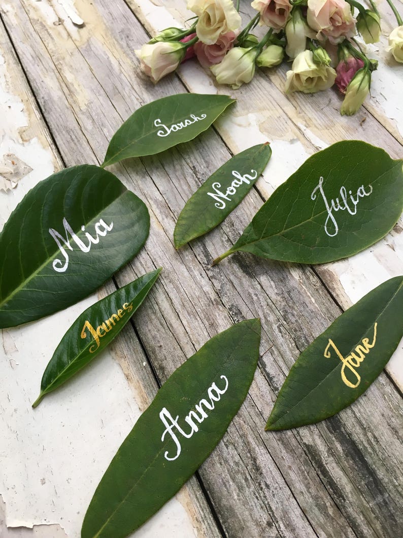 Op de afbeelding: Groene bladeren met witte kalligrafie namen, waaronder Mia, Sarah, Noah, Julia, James, Anna en June. De bladeren zijn gerangschikt op een rustiek houten oppervlak.