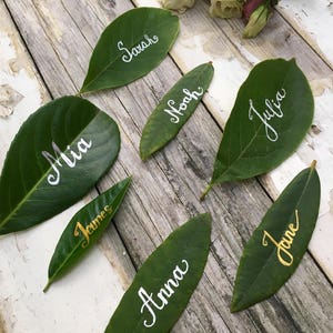 Op de afbeelding: Zes groene bladeren met witte en gouden kalligrafie namen erop geschreven. De namen zijn Mia, James, Sarah, Noah, Julia en Anna.