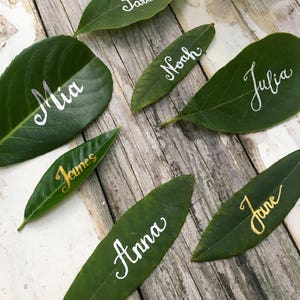 Op de afbeelding: Groene bladeren met namen erop geschreven in witte en gouden inkt. De namen zijn Mia, Sarah, Noah, Julia, James, Anna en Jane.