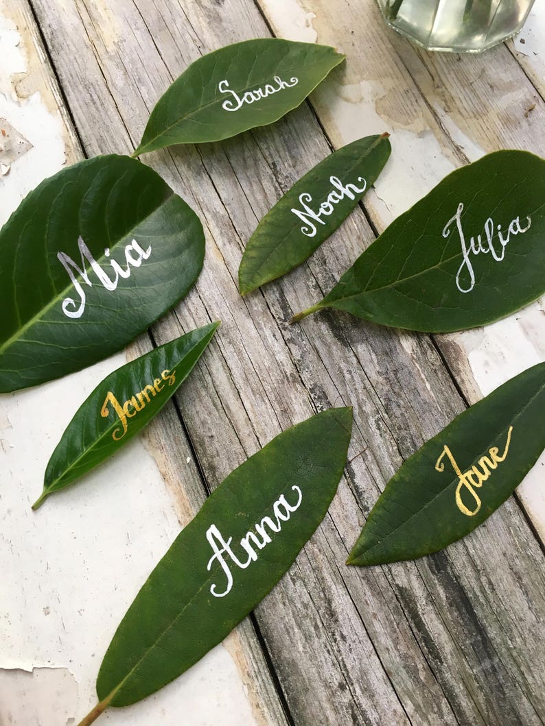 Op de afbeelding: Groene bladeren met namen erop geschreven in witte en gouden inkt. De namen zijn Mia, Sarah, Noah, Julia, James, Anna en Jane.