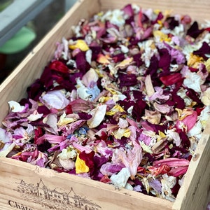 Coriandoli per matrimonio, coriandoli biodegradabili, fiori secchi, petali per matrimonio, petali di fiori, lancio di coriandoli per matrimonio, PER 10 INVITATI