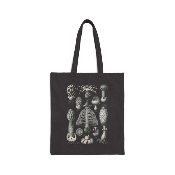 1904 basimycetes (schwammpilze) STINKHORN MUSHROOMS print by adolf giltsch after sketch by ernst haeckel on cotton canvas tote bag