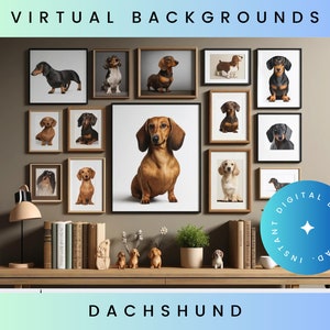 以下が含まれることがあります： 壁に飾られた、ダックスフント犬のアートプリントのコレクション。下の木製の棚には、様々なポーズと色のダックスフントが描かれています。「VIRTUAL BACKGROUNDS」の文字が上部に、「DACHSHUND」の文字が下部にあります。「INSTANT DIGITAL DOWNLOAD」と書かれた青い円が右側にあります。