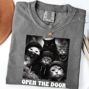 May include: A gray Comfort Colors t-shirt featuring a graphic of five cats in hoodies and bandanas. The image has the text "OPEN THE DOOR" at the bottom. A silver necklace with a small pendant is on the shirt.
