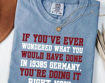 Comfort Colors® If You've Ever Wondered What You Would Have Done in 1930s Germany Shirt, Democracy Liberal Tee T-shirts, Anti-Trump T-Shirts