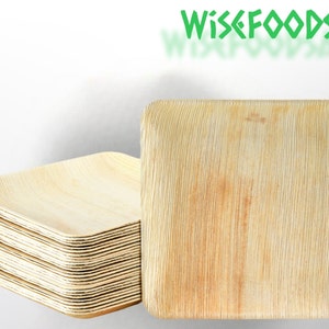 Palm Leaf Square Plates for Dinner and Dessert Eco-friendly, Biodegradable and Disposable Plates