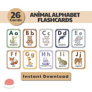 Tarjetas didácticas del alfabeto de animales / Tarjetas educativas de la A a la Z para niños / Aprendizaje en edad preescolar y para niños pequeños / Tarjetas didácticas del abecedario imprimibles / Tarjetas Montessori