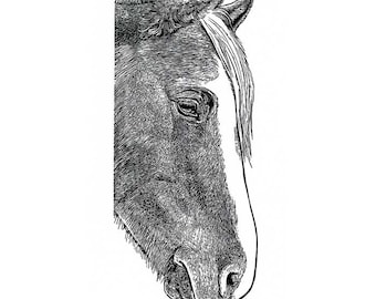 Horse wood engraving