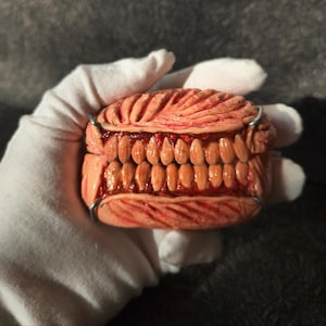 Op de afbeelding: Een gedetailleerde sculptuur van een gebit met realistische tanden. De tanden zijn lichtbruin van kleur, geplaatst in een roodroze basis. De sculptuur wordt vastgehouden door een gehandschoende hand.