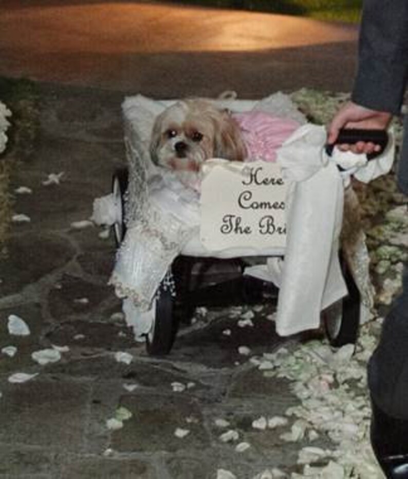 Ring Bearer Flower Girl RUSTIC CHALKBOARD Wedding Procession Sign Back of Wagon Here Comes The Bride